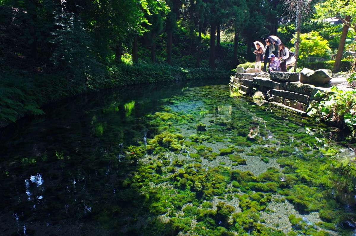 「水の町」熊本の白川水源