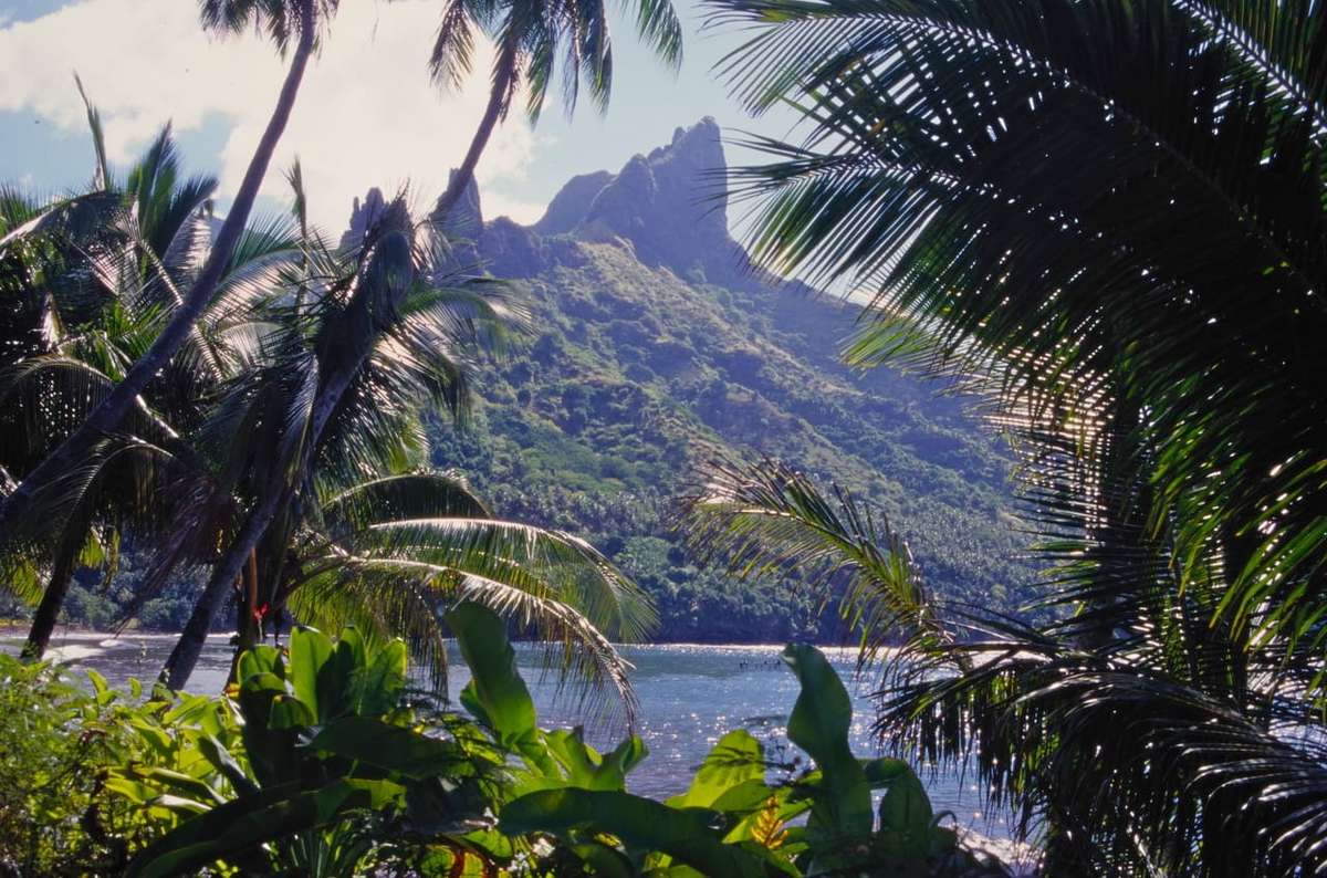 ヌクヒバ島の風景