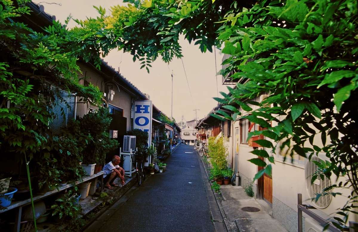 京都西陣の緑